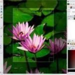 services de retouche photo