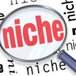 recherche de niche
