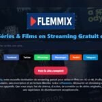 Flemmix Streaming : Le Guide pour Films et Séries