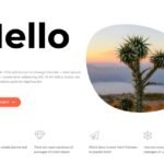 Thème WordPress rapide SEO