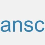 oTranscribe : Maîtriser la Transcription Manuelle et Gratuite