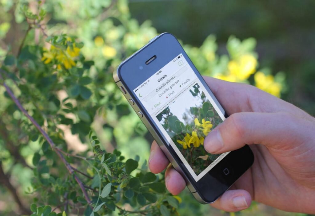 Meilleure application reconnaissance des plantes gratuite