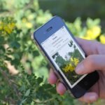 Meilleure application reconnaissance des plantes gratuite